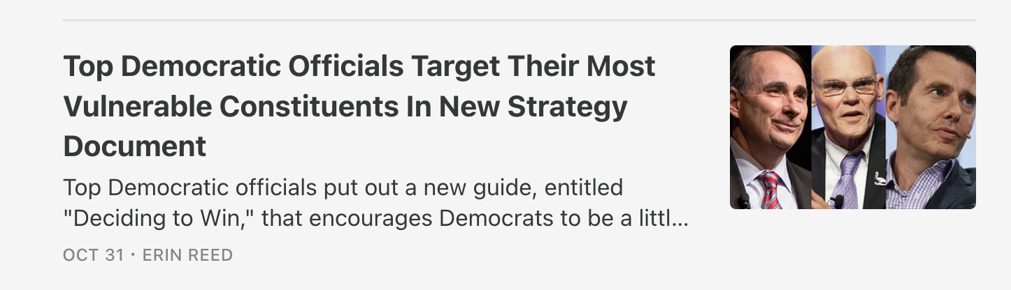 Link to article: "Top Democratic Officials Target Their Most Vulnerable Constituents in New Strategy Document" by Erin Reed
